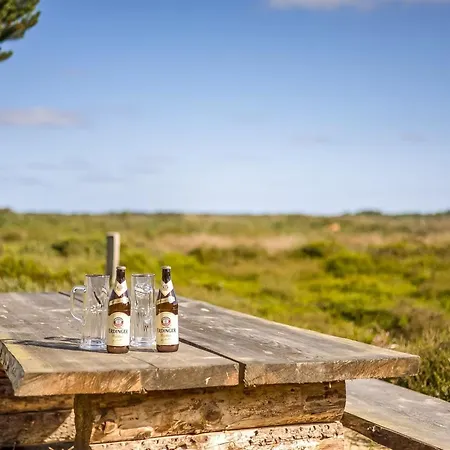 Artan - 2-6km From The Sea In Western Jutland By Interhome Vakantiehuis *